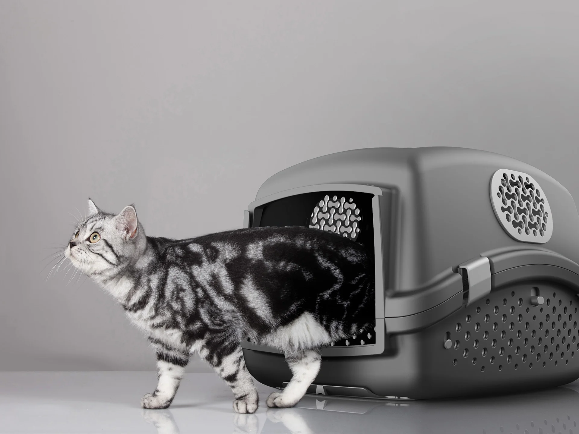 Pet Grooming Box designed by Formeta Design as utilizing place air ducts to collect fur
