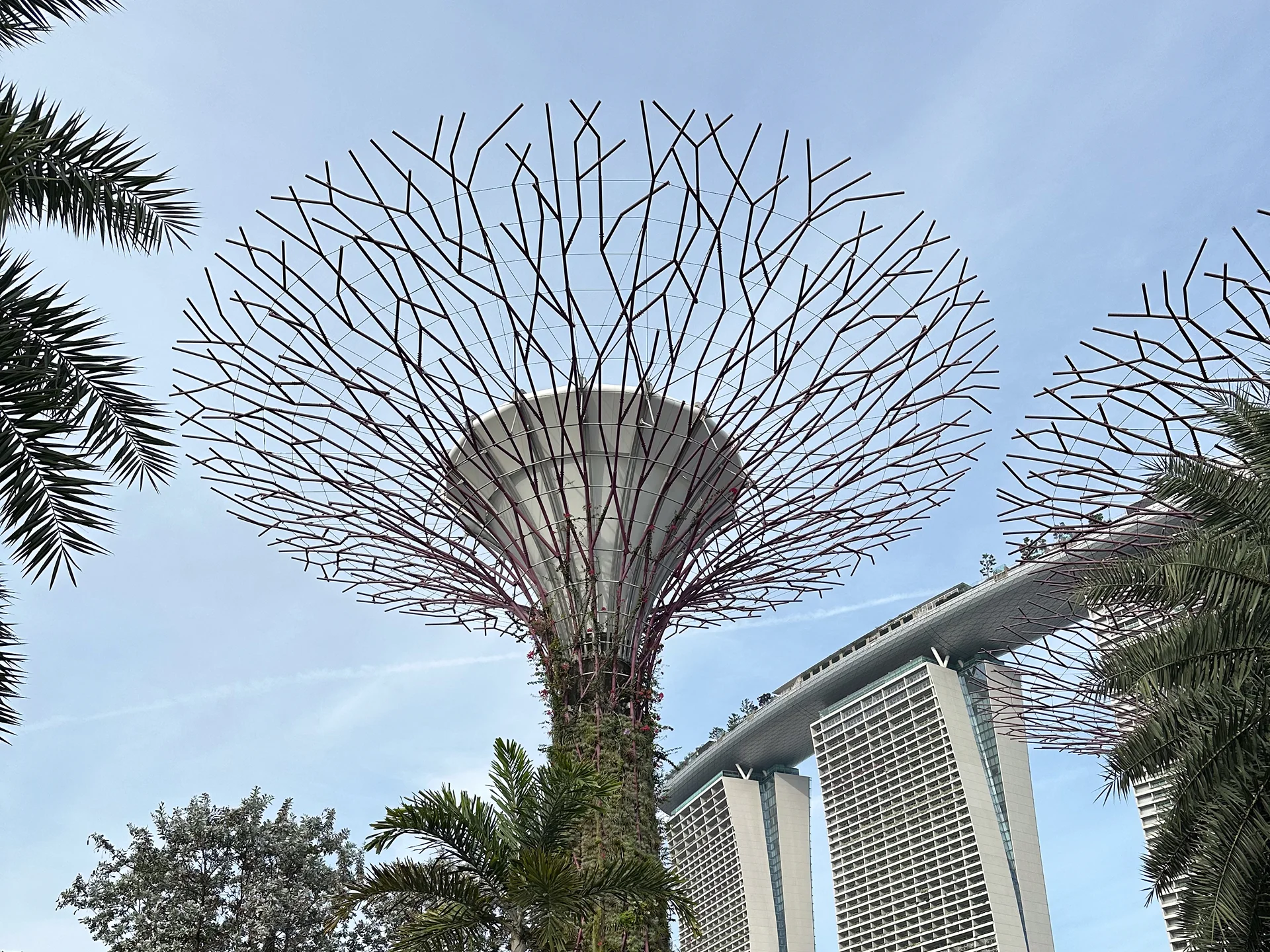 Singapore-Design-Week-2025-Formeta-Design-Visit-11